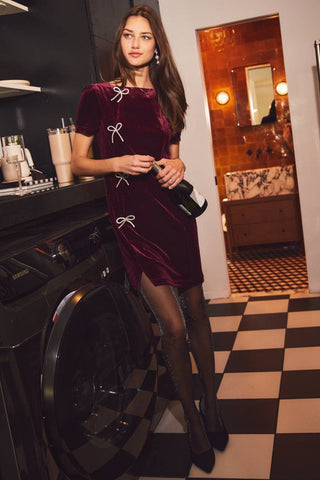 Short Sleeve Velvet Mini Dress, Wine *final sale