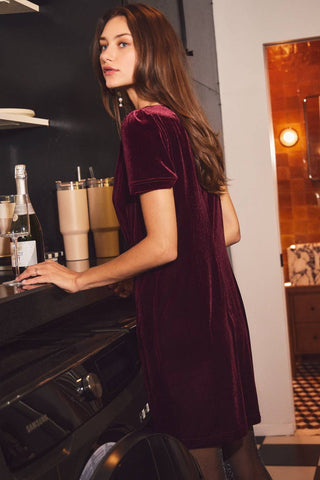 Short Sleeve Velvet Mini Dress, Wine *final sale