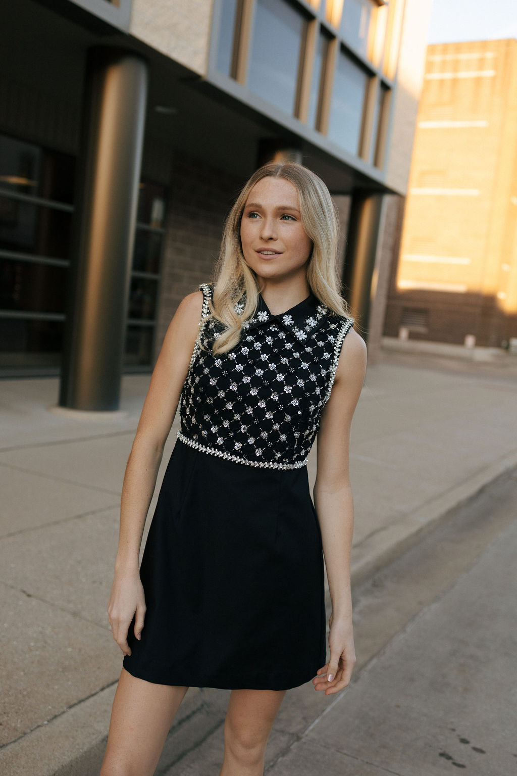 Sequin Beaded Dress