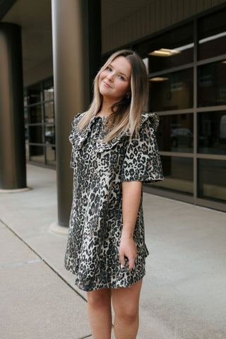 Leopard Collared Mini Dress