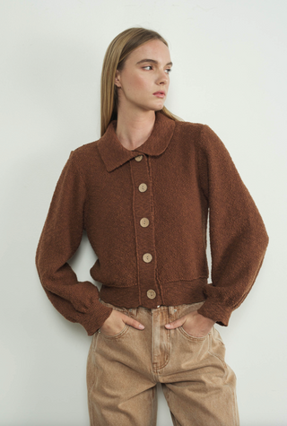 Collared Button Cardigan, Brown